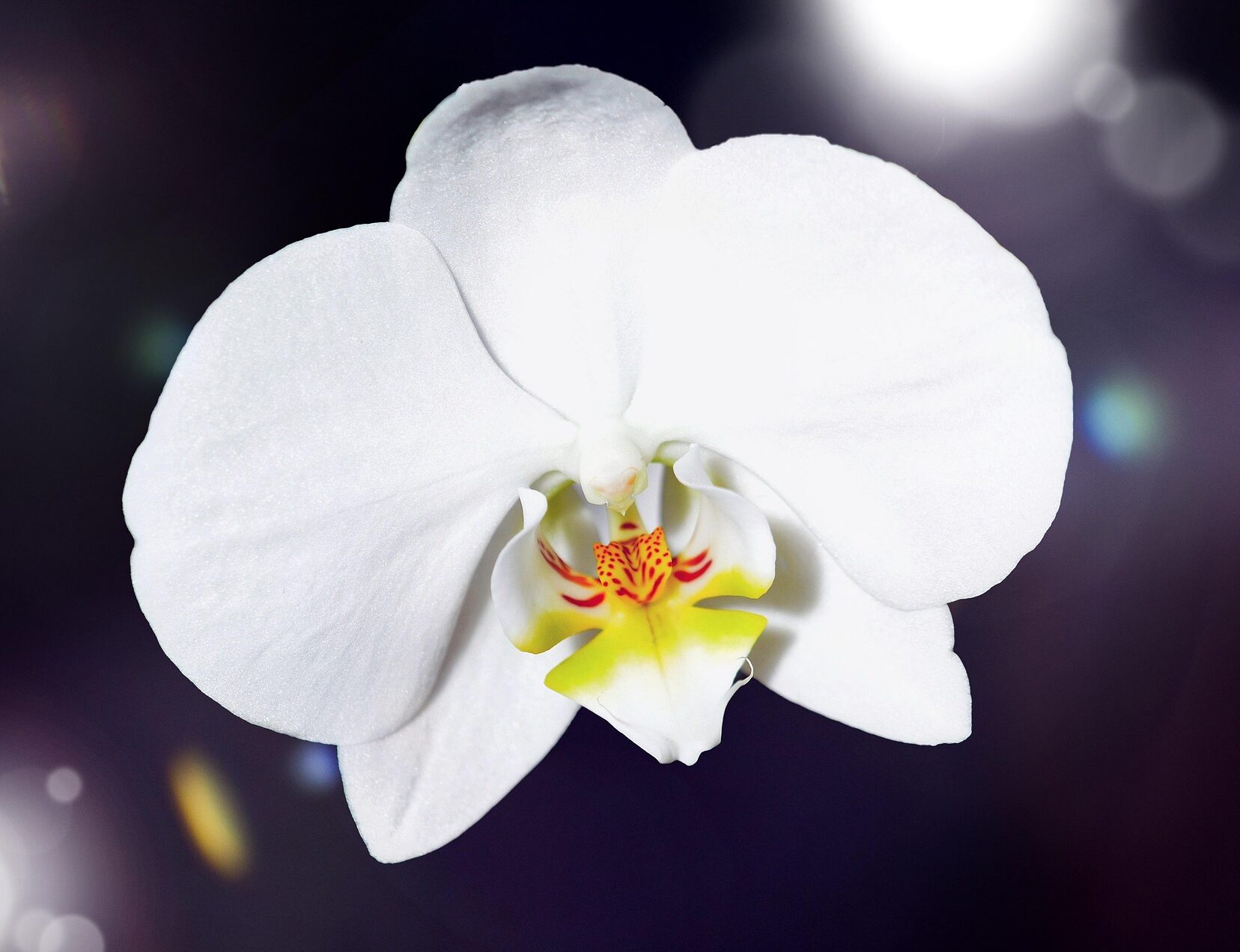 Zurück zur Startseite